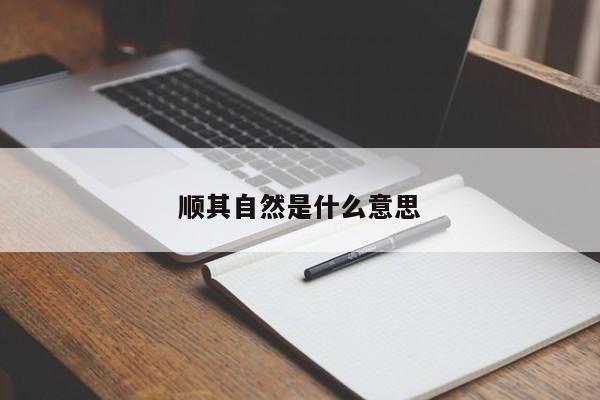 顺其自然是什么意思